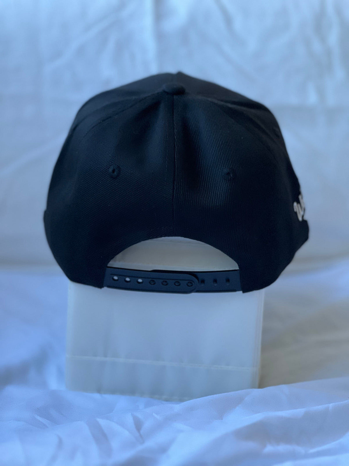 Gorra Canvas "NY Spider Web & Tarantula" Black & Silver